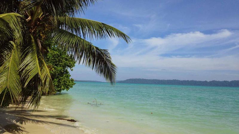 Andaman Exotica Honeymoon Tour Package