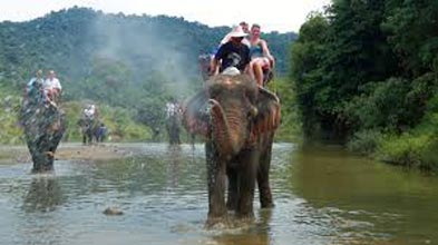 3 Nights/ 4 Days Andaman Honeymoon Trip Tour
