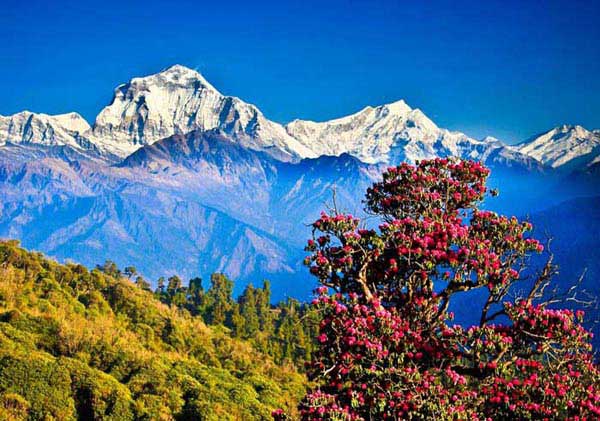 The Best Of Nepal Package