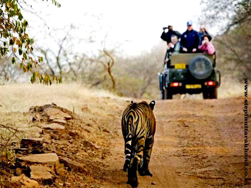 Exclusive Rail Tour Package of the Corbett