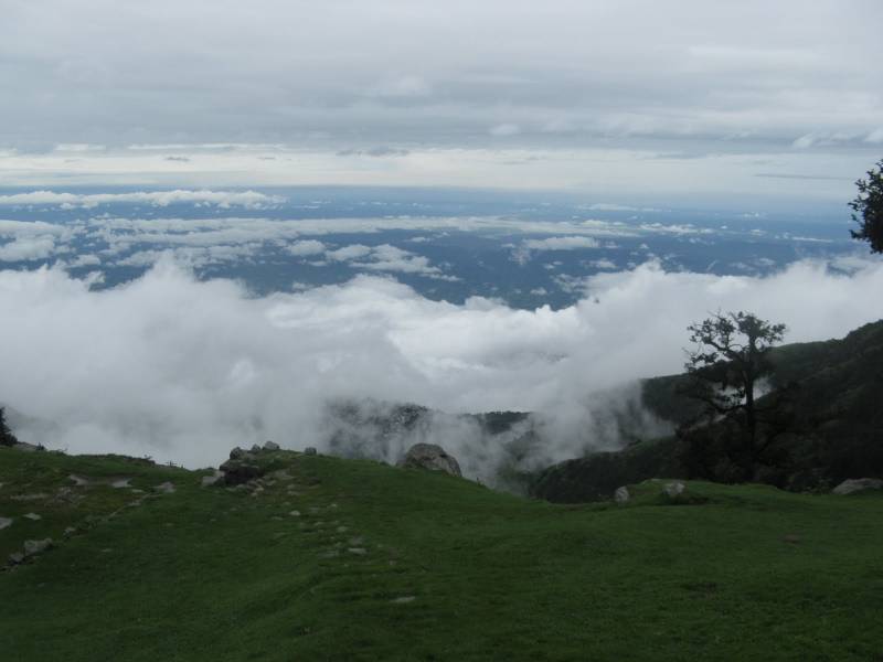 Dharamshala Tour Package