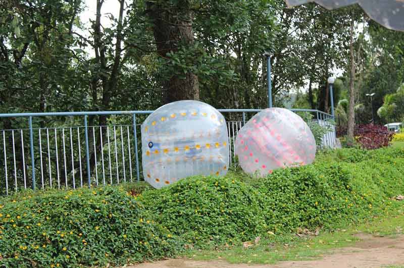 Memorable Experience's in Munnar Tour