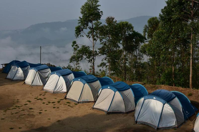 Memorable Experience's in Munnar Tour