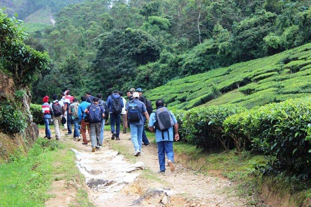 Memorable Experience's in Munnar Tour