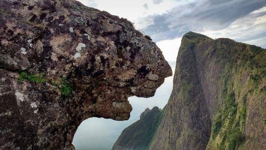 Kolukkumalai Jeep Safari Tour