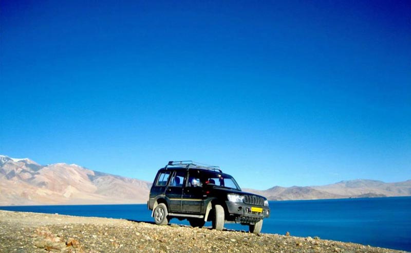 Ladakh Safari Tour