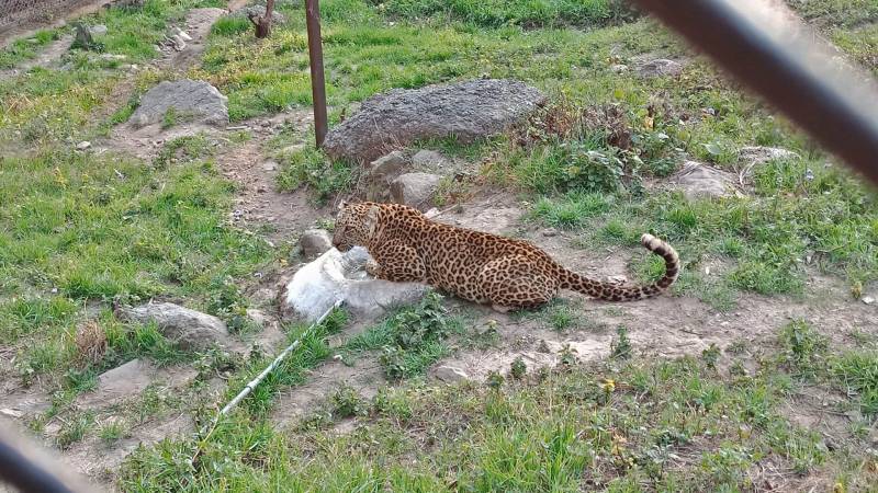 Honeymoon Packages in Himachal Pradesh 7 Night 8 Day