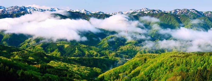 4 Night 5 Day Nagaland Holiday Packages