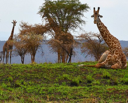 5 Days Discover Rwanda Adventure Tour