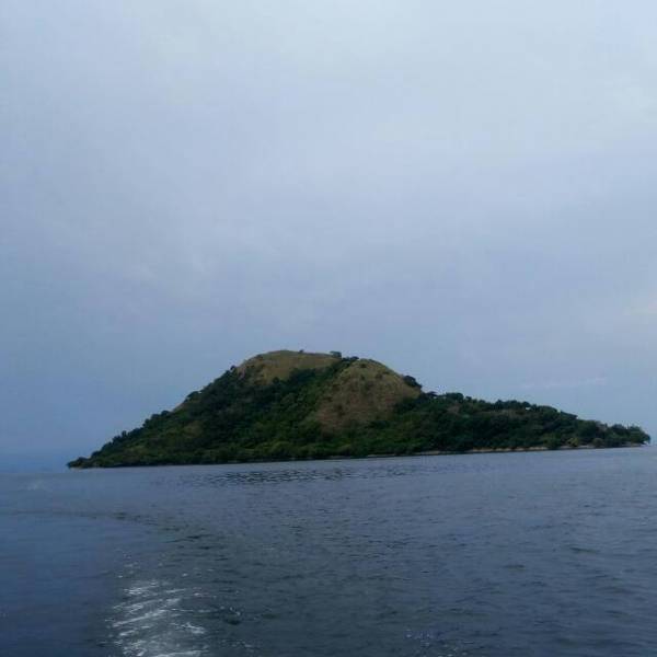 6 Days Rwanda-uganda Experience