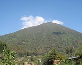 1 Day Bisoke Hike Experience