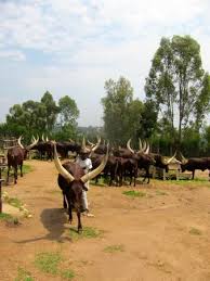 1 Day King Palace and National Museum Experience