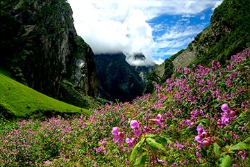 Valley Of Flowers Fixed Departure Tour