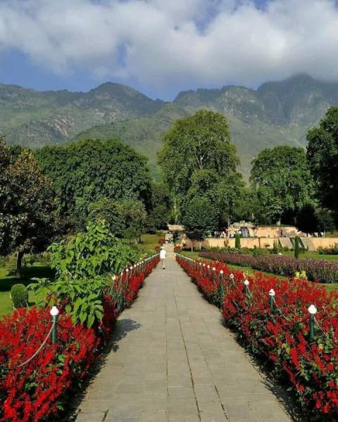 Gardens Tour of Kashmir
