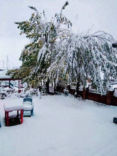 Gulmarg Skiing Package Nov-march 2019.