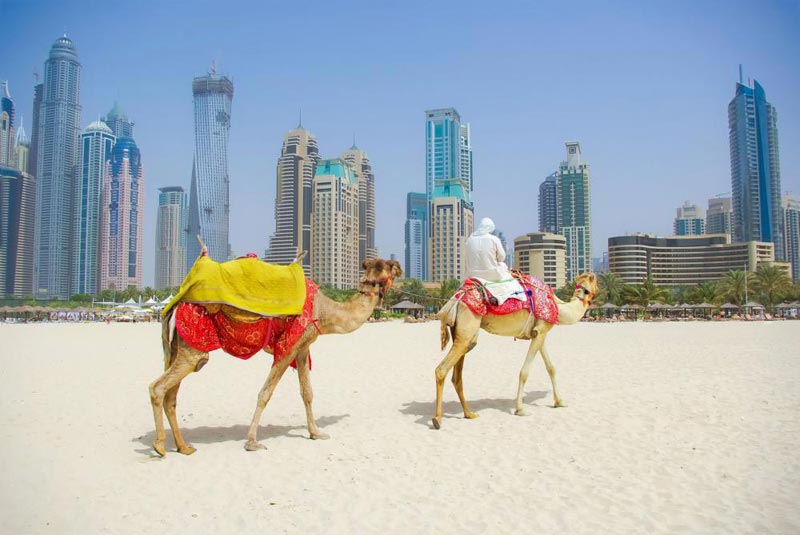 Wonderful Dubai Trip Tour