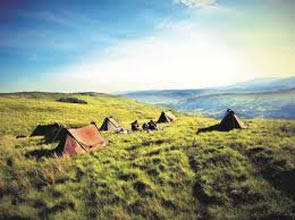 08 Days Kenya Maasai Mara, Lake Nakuru And Tanzania Serengeti,Ngorongoro Crater. Package