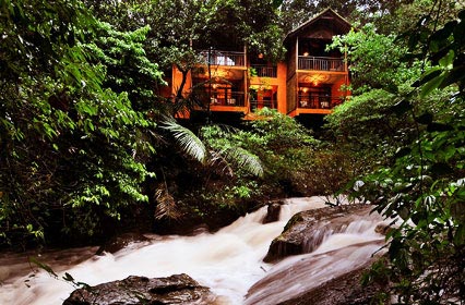 3 Days Wayanad Tour With Vythiri Treehouse Package