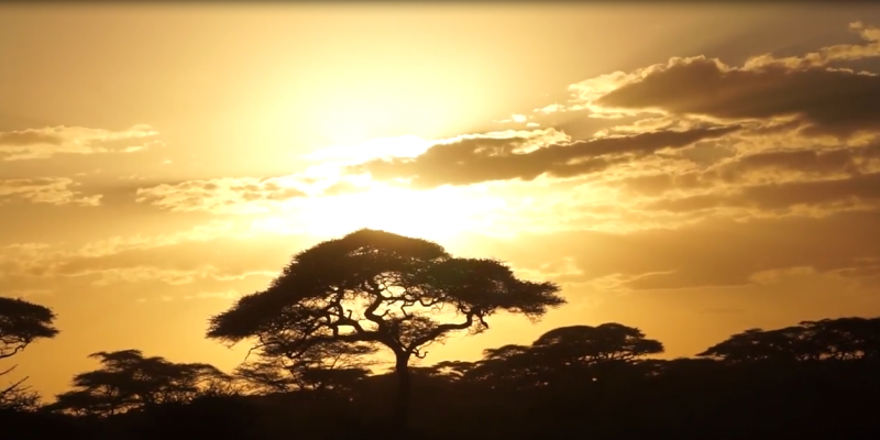 5 Days migration Safaris, Northern Tanzania