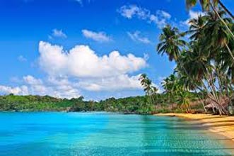Andaman Exotica For 7 Nights And 8 Days Tour