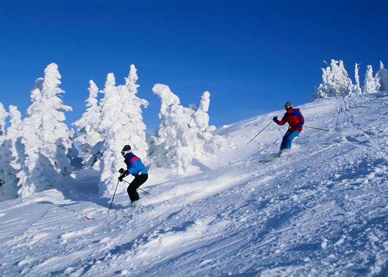 Manali Tour Package