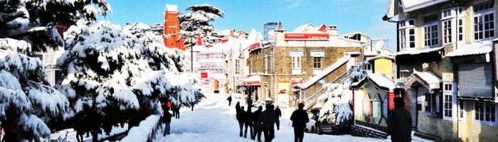 Charming Shimla Manali Tour