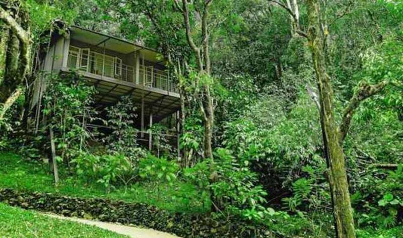 Wayanad Wild Calling Tour