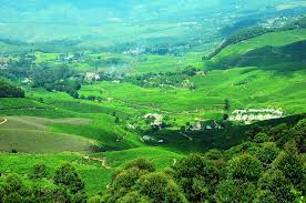 3n 4d Kerala Tour Package