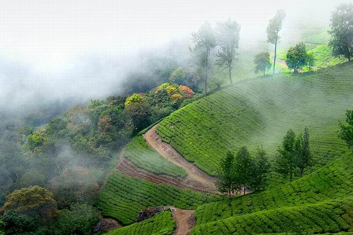 Munnar Alleppey Package