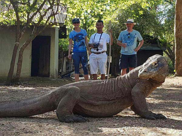 Explore Komodo Package