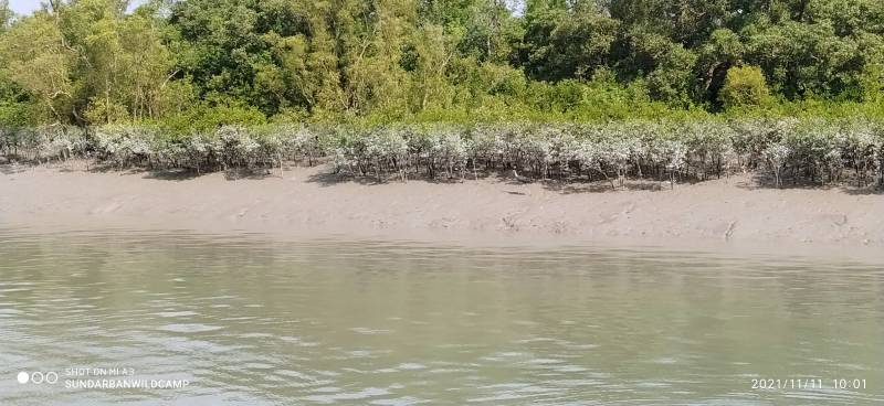 2 Night 3 Days Sunderban Packages