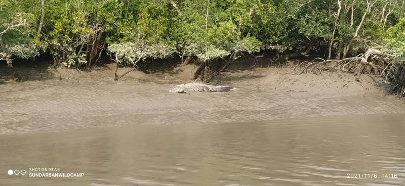 2 Night 3 Days Sunderban Packages