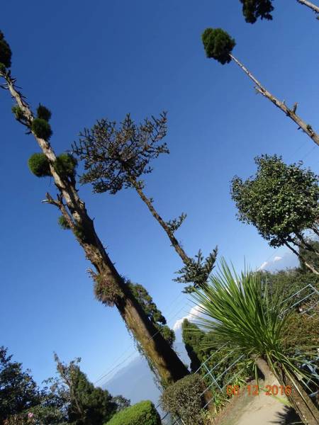 Women Only Darjeeling Tour