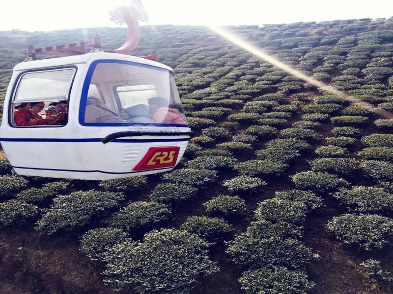 Darjeeling Namchi Gangtok Tour