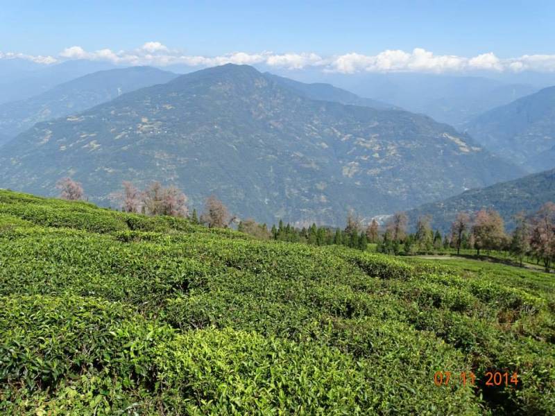 Darjeeling Namchi Gangtok Tour