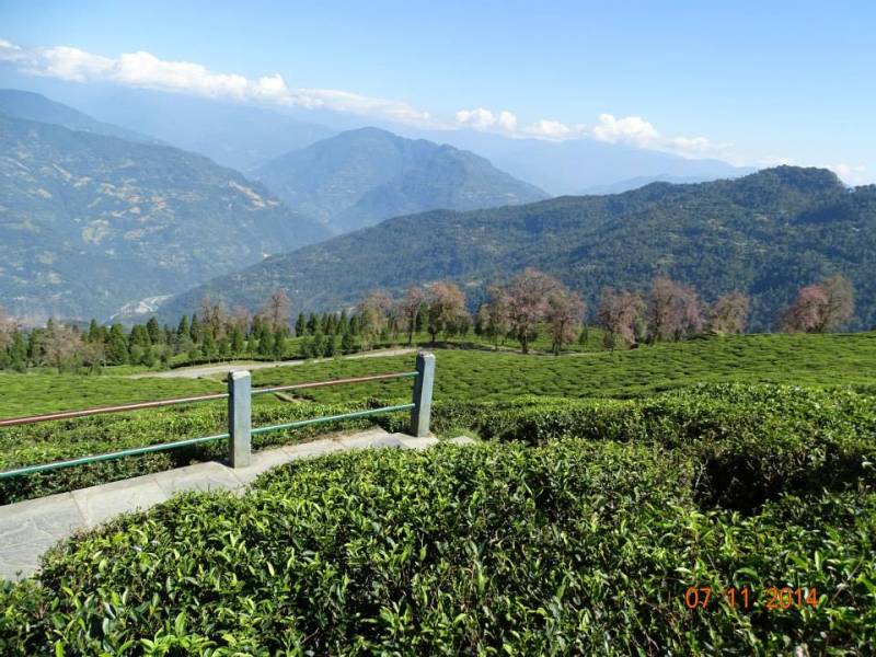 6N 7D Gangtok Darjeeling Ravongla Trip