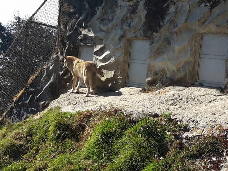 6N 7D Gangtok Darjeeling Ravongla Trip