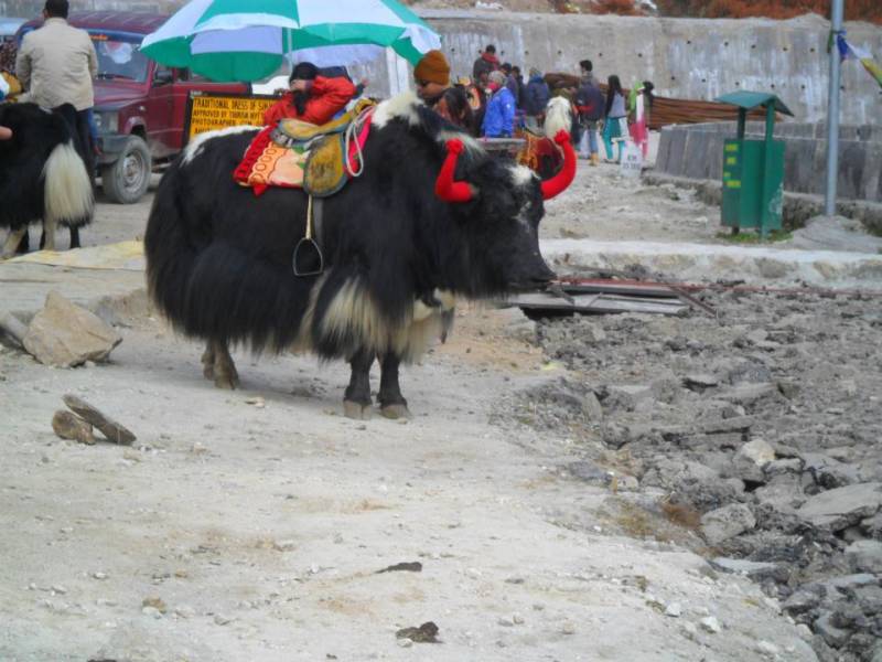 6N 7D Gangtok Darjeeling Lachung Trip