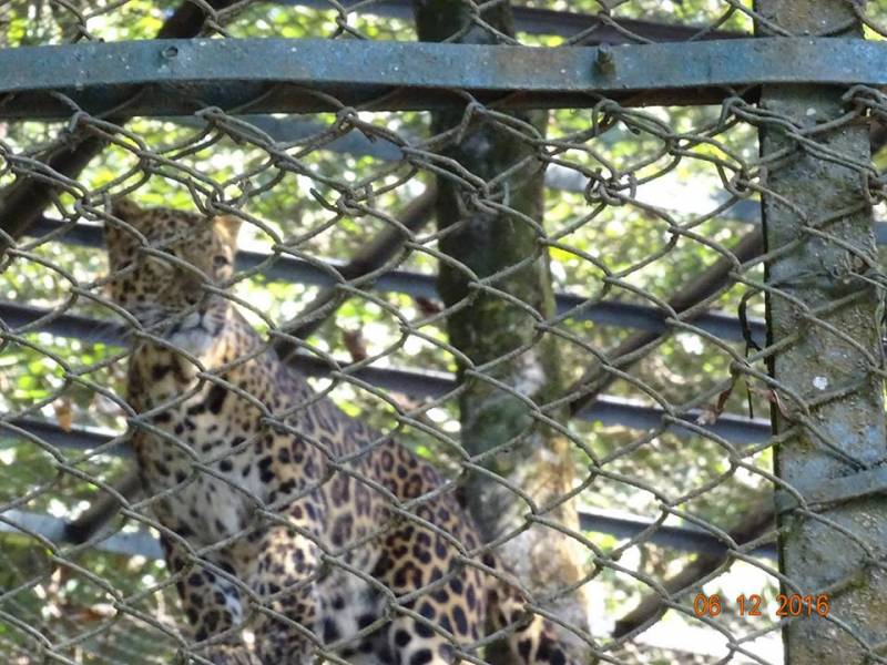 Fixed Departure Sikkim Darjeeling