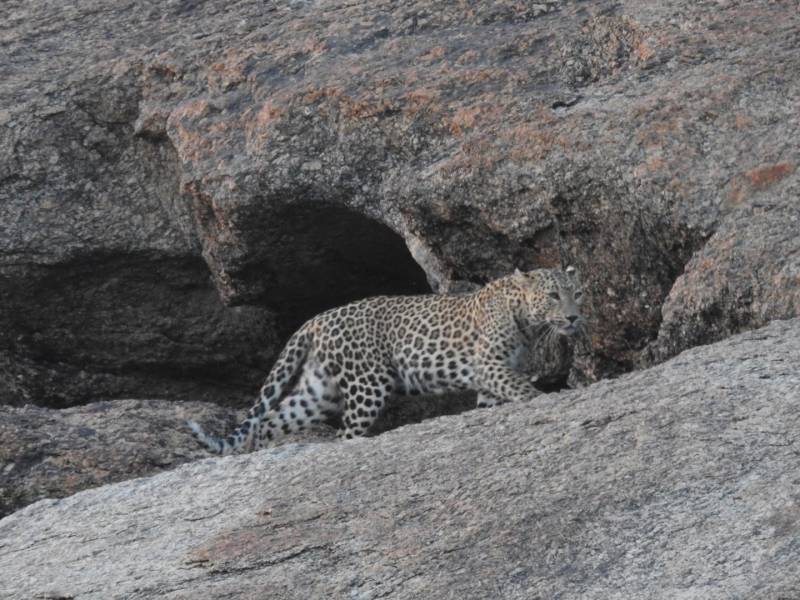 Golden Triangle Tour Including  Jaisalmer Ex - Kolkata