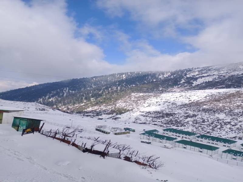 Explore Temi Tea Garden Tour