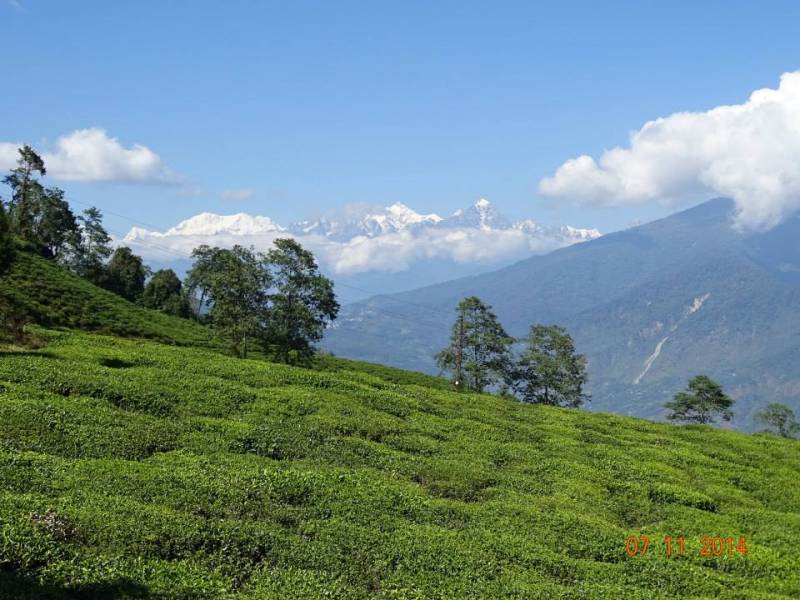 3 Night 4 days Gangtok Darjeeling Trip