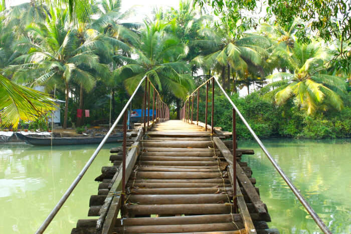 Couples only Munnar Kumarakom Cochin 3 Cities.
