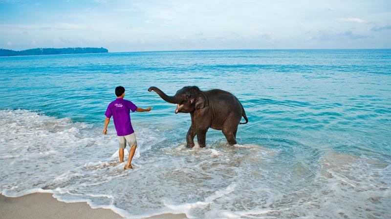 Port Blair-havelock Tour Package