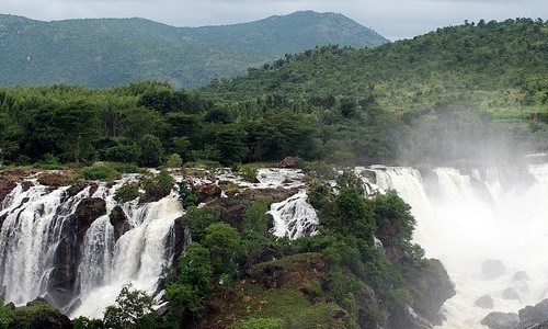 6 Days Coorg Wayanad Tour Package