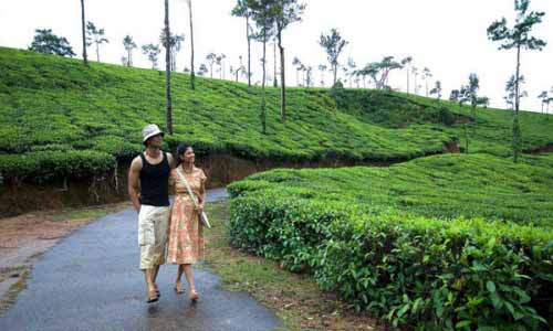 Mangalore - Coorg Package Tour