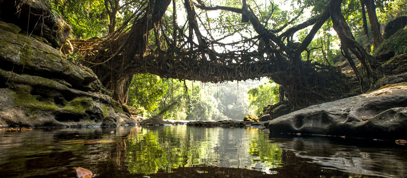 Assam Meghalaya Tour Package