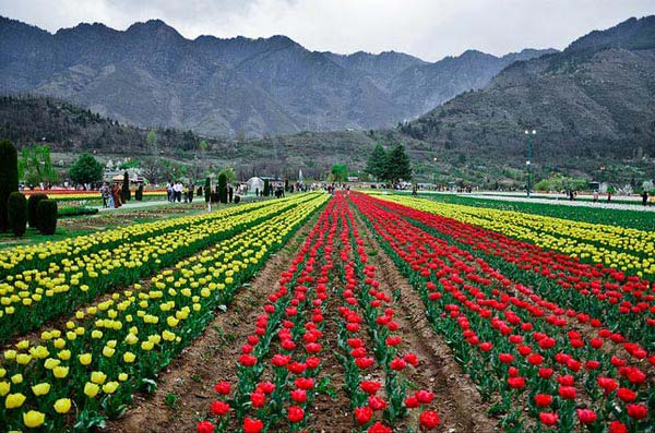 Beautiful Kashmir 2N-3D Tour