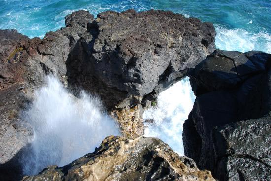 Exploring the Incredible South-West of Mauritius : Full Day Scenic Tour