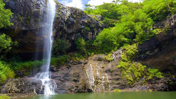 Hiking Trip Full-Day : The Magnificent 7 Waterfalls Sept Cascades, Tamarind Falls Tour